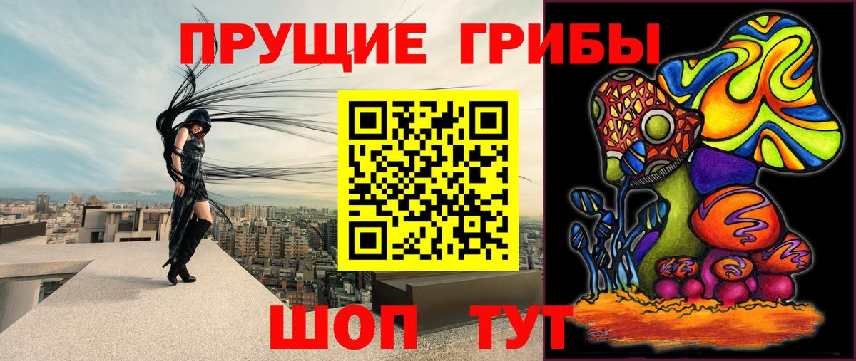 Псилоцибиновые грибы Magic Shrooms Гуково